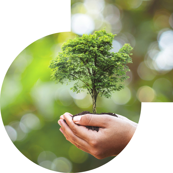 关怀人类、文化、环境与社会